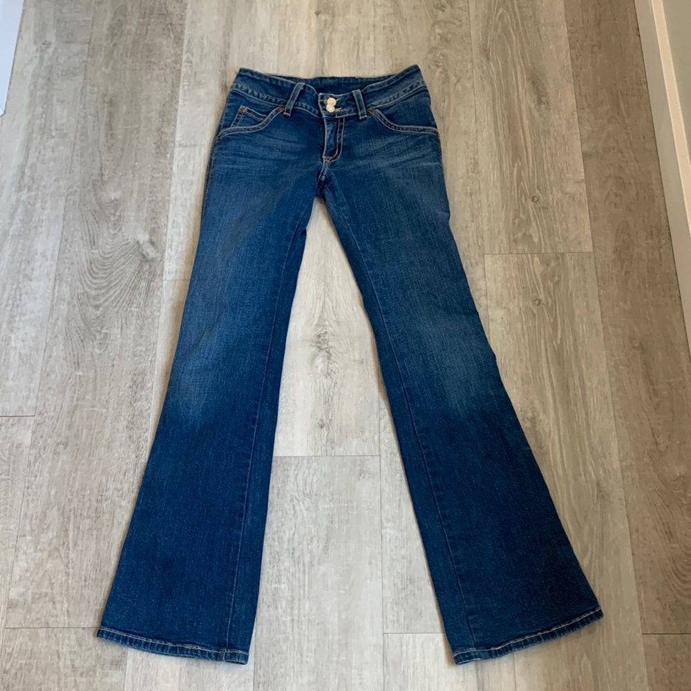 Hudson Flare Jeans EUC 29